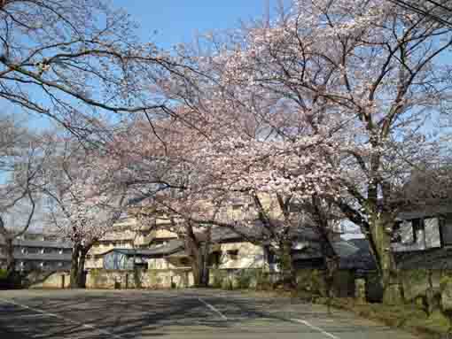 a parking lot in Myoshoji Temple