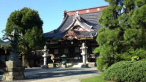 the main hall at Myogyoji