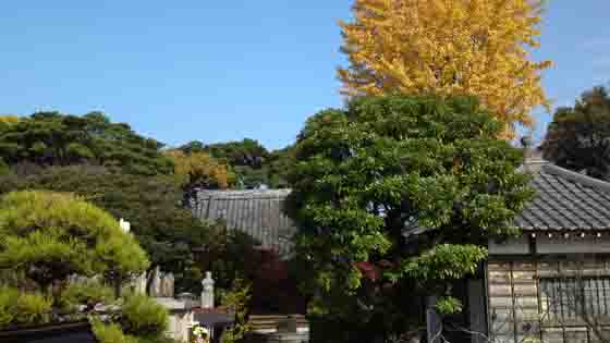 妙音寺の秋の風景