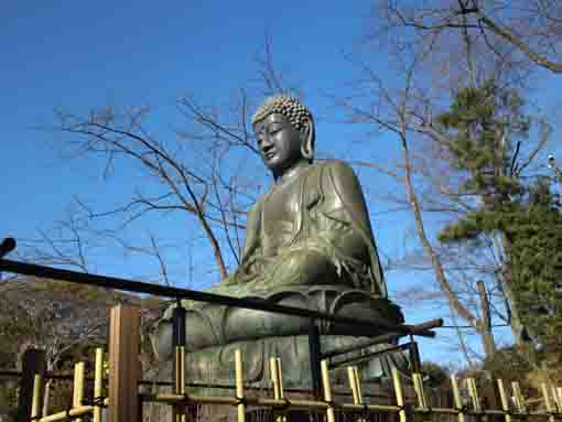 daibutsu in Nakayama Hokekyoji