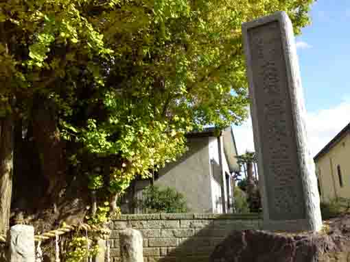 the stone tablet of the crying gingko tree