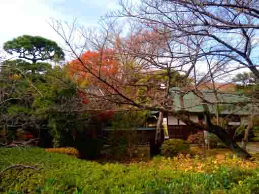 令和３年一之江名主屋敷の秋の風景２