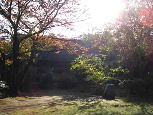 fall in the garden in Ichinoe Nanushi Yashiki
