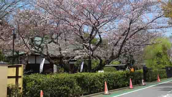Ichinoe Nanushi Yashiki Residence