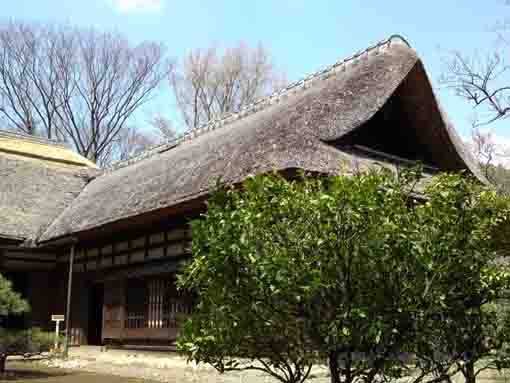 Ichinoe Nanushi Yashiki in Spring