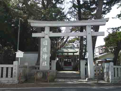 新堀日枝神社の鳥居