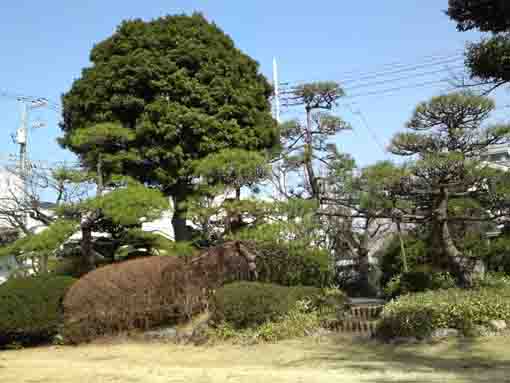 the views in Shinbori Garden