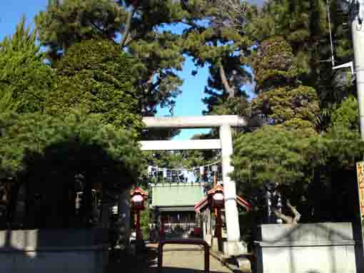 松に覆われた二之江神社