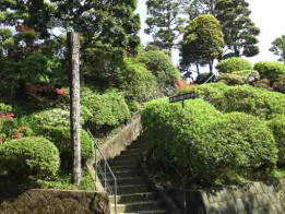 Nakayama is in between Narita And Haneda International Airport