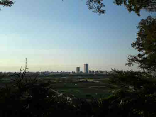 野菊苑から東京の眺望