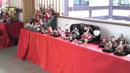 the displayed hina dolls