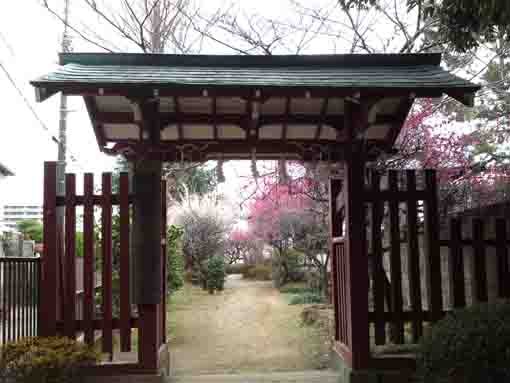奥之院の梅園の門