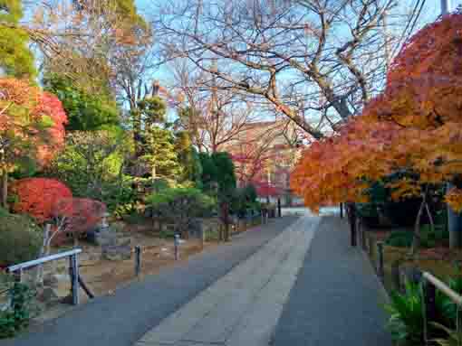 �ߘa�T�N�H����@�̍g�t�Q