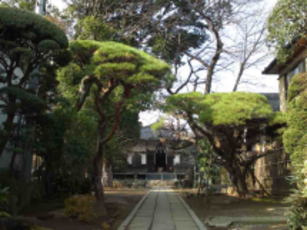 the woods in Onjuin Temple