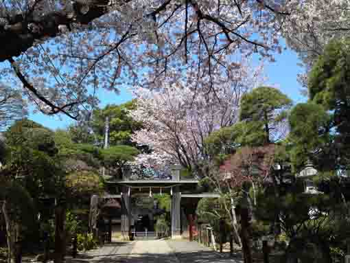 Onjuin Temple