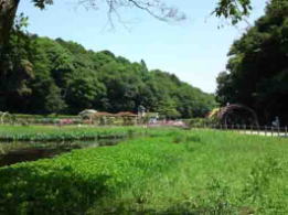 the view of Omachi Park