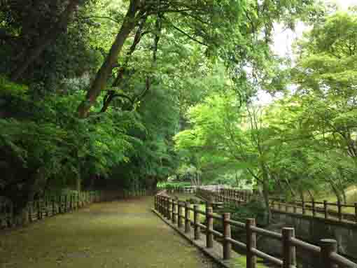 the south gate of Omachi Park