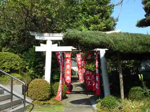 Gozu Tenno in Soyasan Rairenji Temple