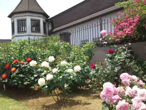 white roses in Higashiyama Kaii's Hall