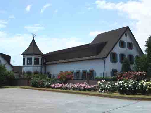 the rose garden on the parking of Kaii