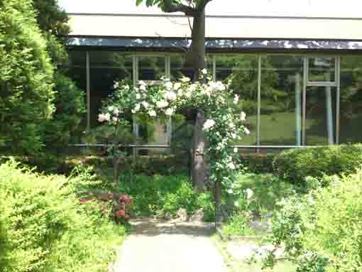 芳澤ガーデンギャラリー前のバラの門