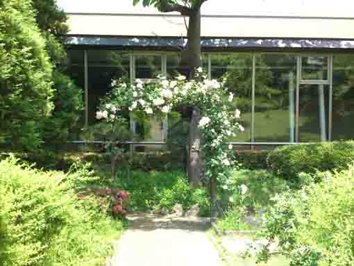 a white rose gate in front of the gallery 