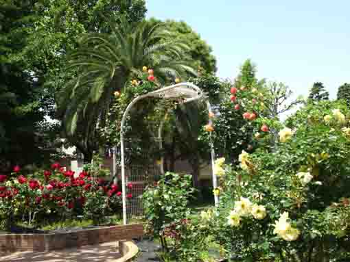 the entrance of the rose garden of Ukita