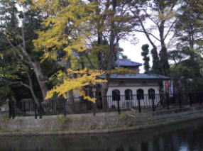 the island on the ryuo-ike pond