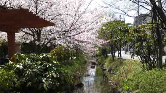 Ichinoe Sakaigawa Water Park