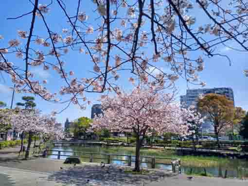 Shinsakongawa Water Park