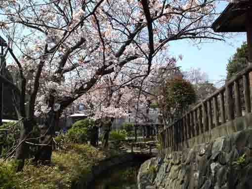 a rest space in the park