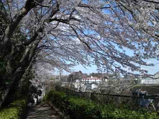 Manyo Botanical Garden