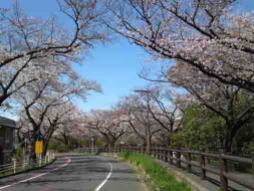 the view in Mizumoto Sakura Tsutsumi