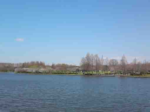 a pond in Mizumoto Park in Katsushikaku