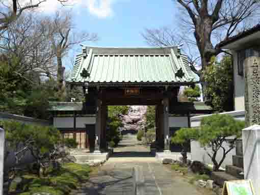 the main gate of Myoshoji Temple