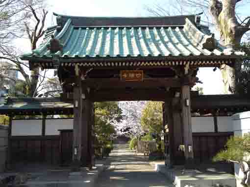 桜の名所本覚山妙勝寺の山門