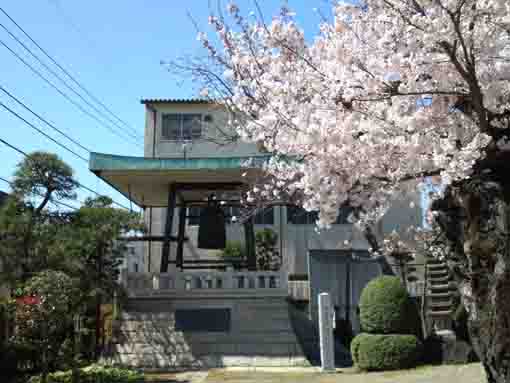 the bell tower in Senyoji