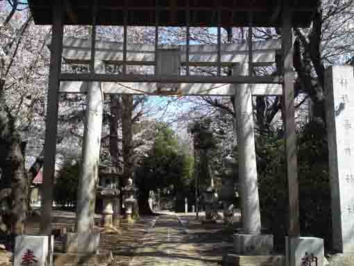 Kasuga Jinja Shrine in Soya Ichikawashi