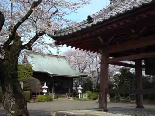 the main hall of Soyasan Horenji