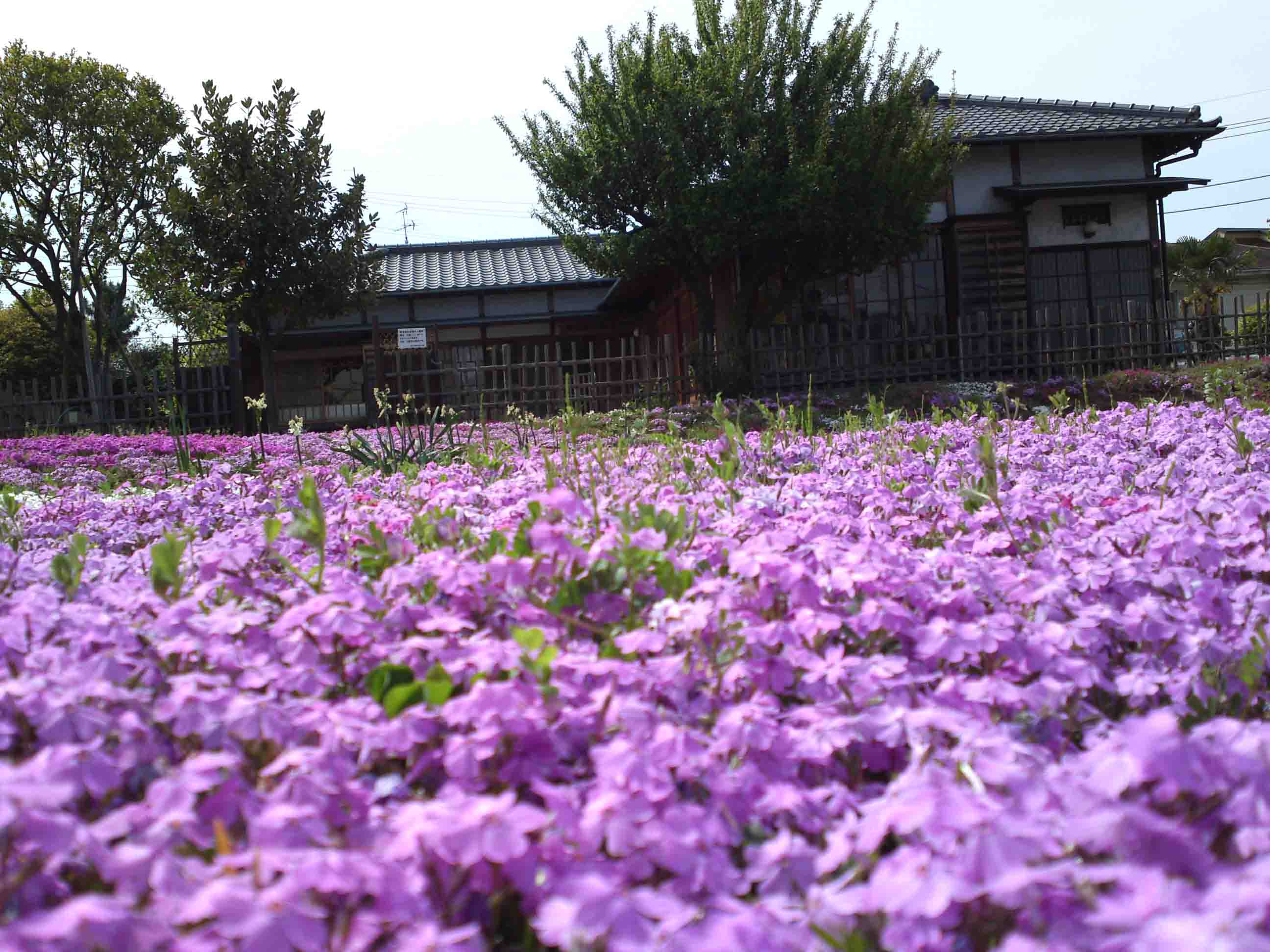 Kakumatsujaku Memorial Park