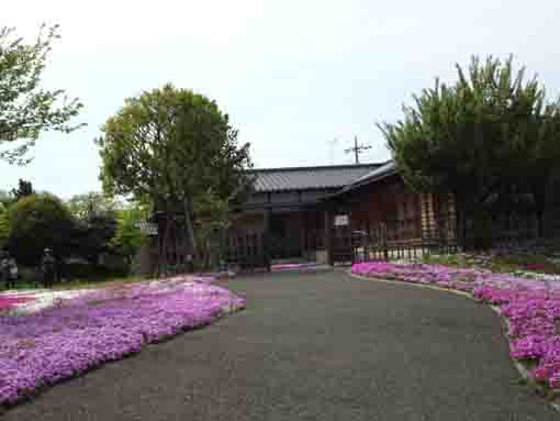 the approach road to the resident