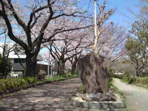 a sign pole at Mizumoto Sakura Tsutsumi