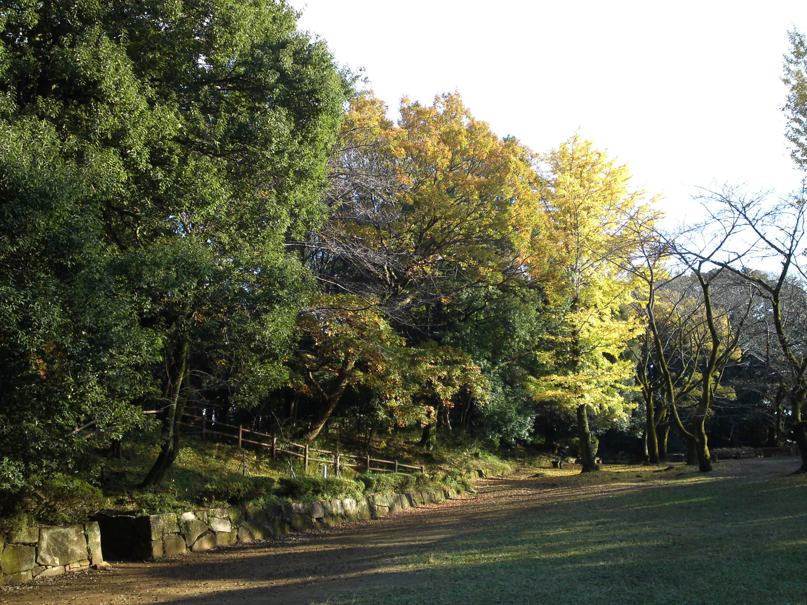 2016年秋里見公園の紅葉の風景写真１１