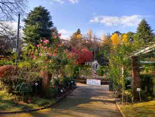 紅葉が彩る里見公園１