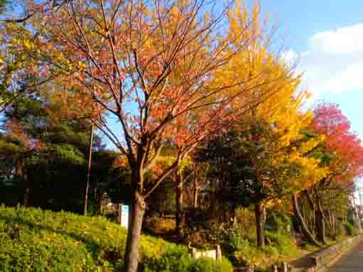 市川東高校案内板