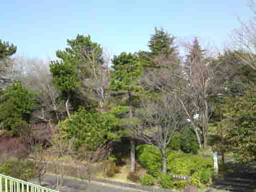 Setoguchi Park from Shinnakagawa
