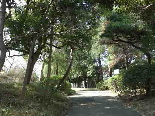 the forests in Setoguchi Park