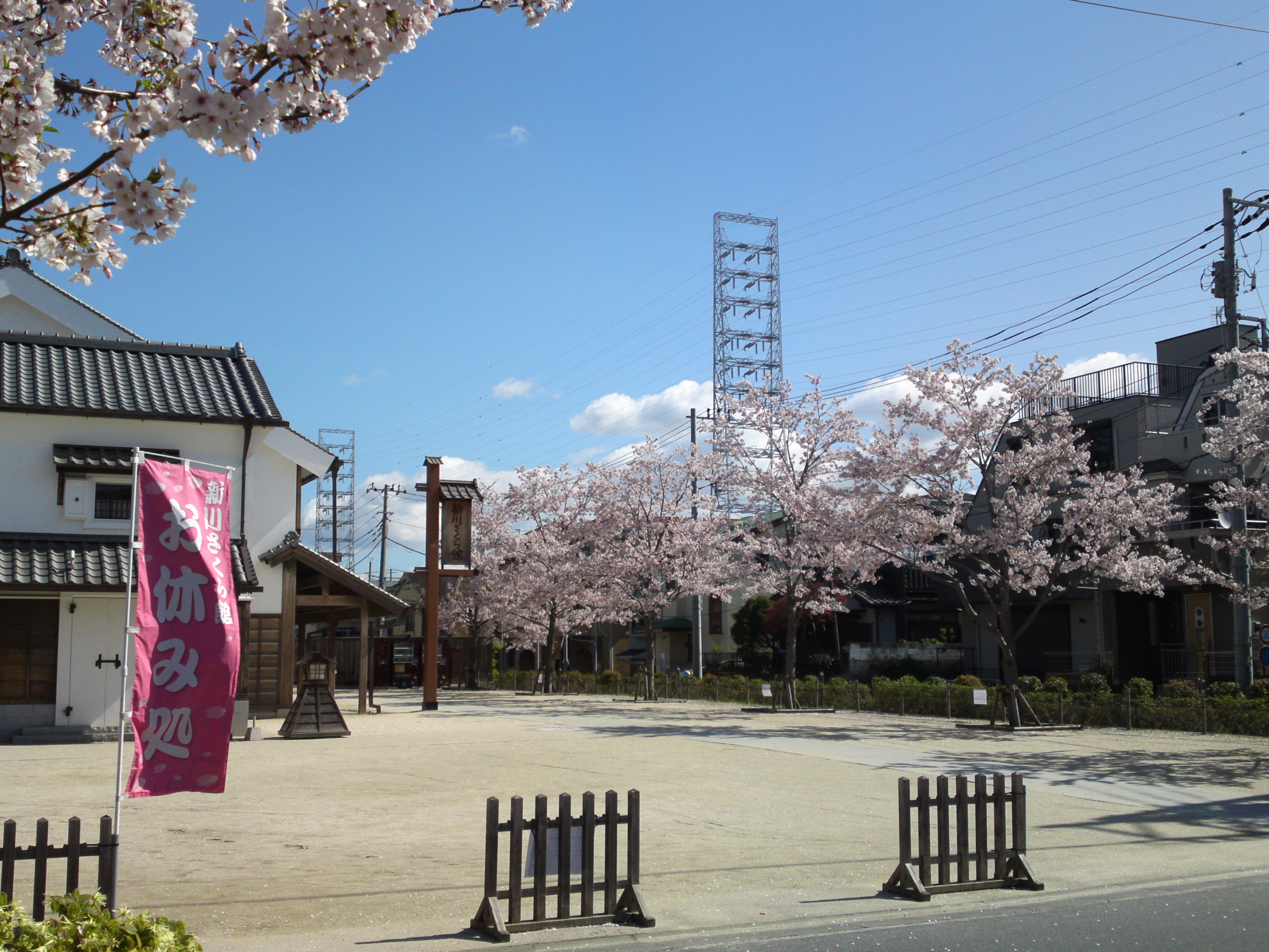 2019年春新川千本桜の風景１１