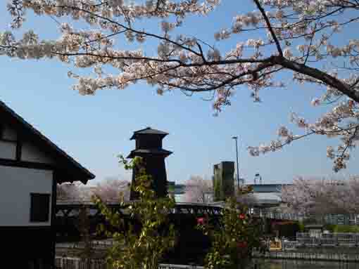 新川西詰公園の画像