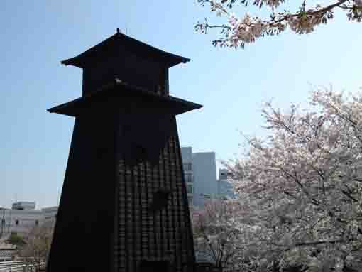 sakura and the fire lookout